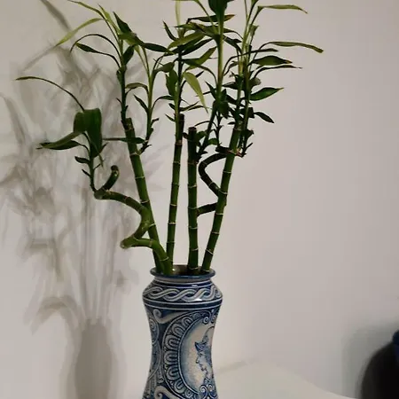 B&B Dimora Di Girgenti 아그리젠토